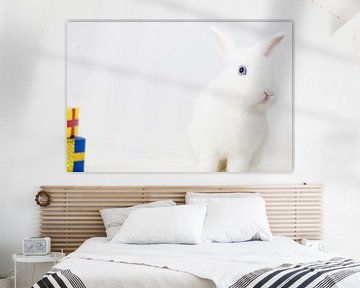 Wit konijn van Maxime Jaarsveld
