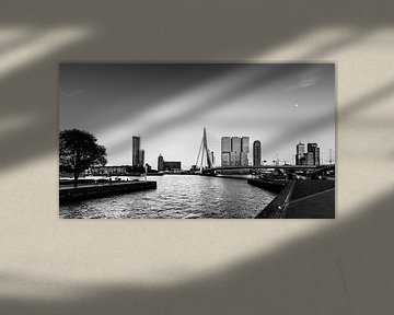 Skyline van Rotterdam van Danny den Breejen