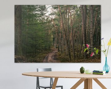 Zonnestralen door de bomen van Loes Huijnen