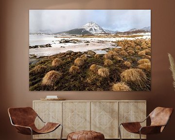 Mountain and lake view Lofoten Norway van Ab Wubben