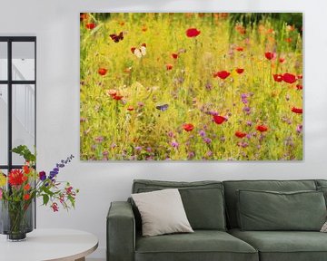 Meadow by Bright Designs