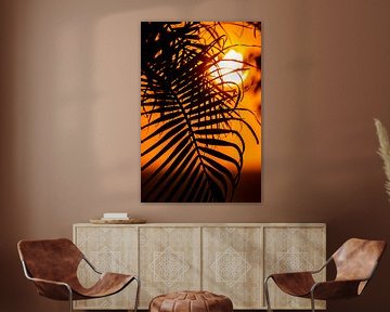 Palm blad in ondergaande zon van Niels van Fessem