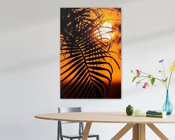 Palm blad in ondergaande zon by Niels van Fessem