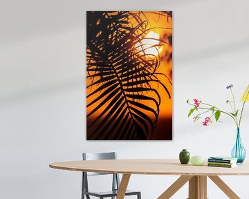 Palm blad in ondergaande zon sur Niels van Fessem