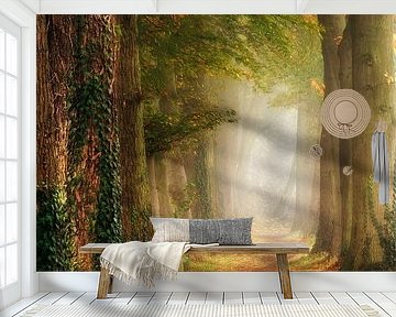 EntTree by Lars van de Goor