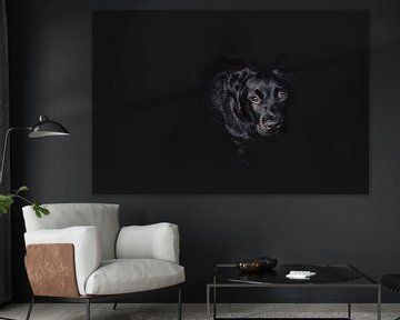 Dog in 50 shades of black von Elianne van Turennout