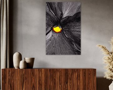 Flower in Black