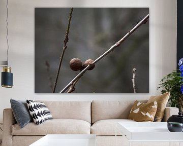 Herfstbessen in het voorjaar.