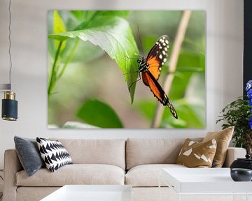 Mooi gekleurde vlinder hangend aan een groen blad. van Mariëtte Plat