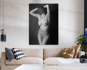 Art Nude Photography  van Falko Follert
