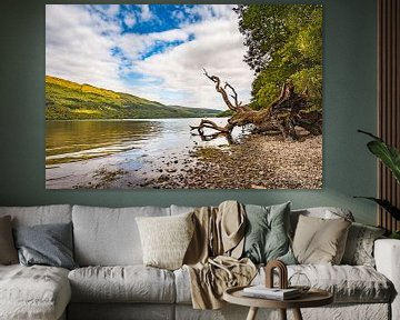 Schotland Loch Lomond 1 van Freddy Hoevers