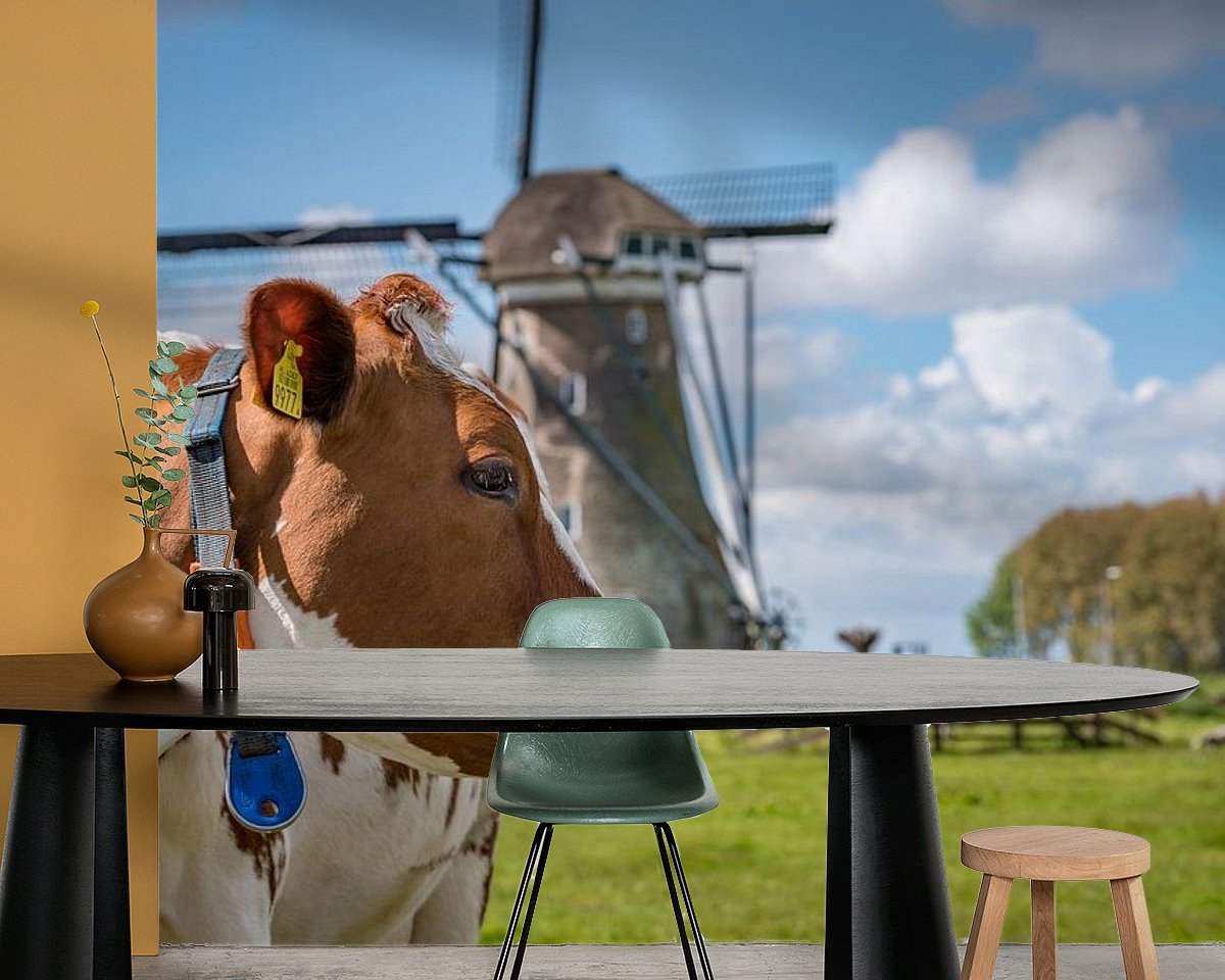 Raumvorschau