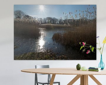 Binnenduin Beverwijk van CreaBrig Fotografie