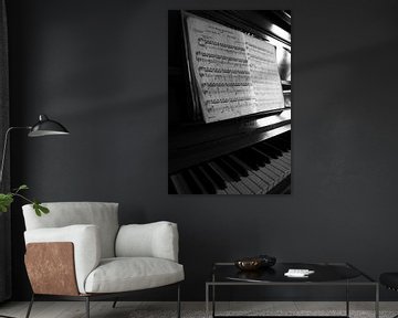 Pianol zwart-wit beeld van Falko Follert