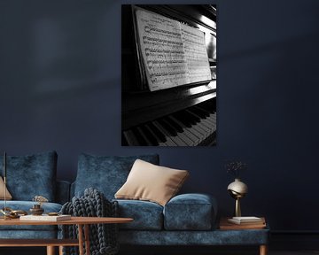 Pianol zwart-wit beeld van Falko Follert