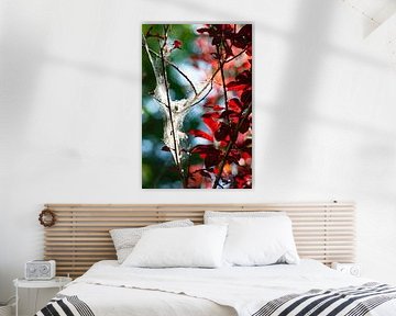 spiritual reds, blues and greens & a little silk angel von Anne Hana