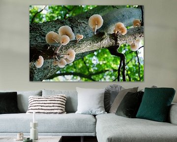 Pilze im Baum von Ellinor Creation