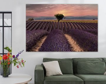 Lavendelfeld in der Provence von Peter Zendman