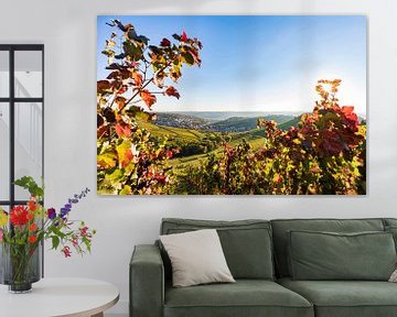 Colorful vineyards in Stuttgart by Werner Dieterich