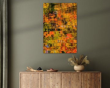 Herfstkleuren