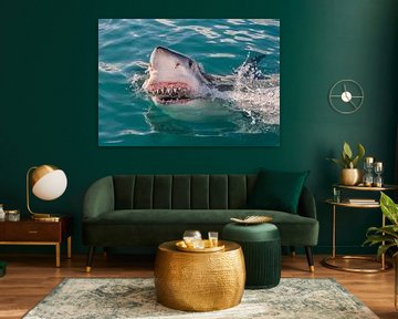Great White Shark by Harry Eggens