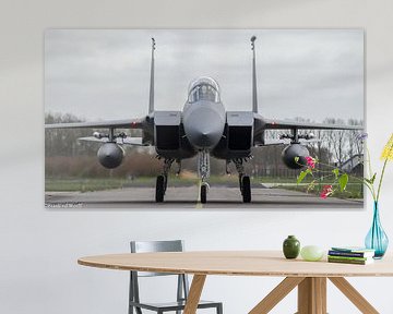 F-15 strike eagle by Frank Van der Werff