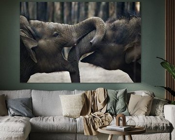 Spelende olifanten van Ben Klompen
