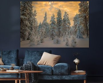 Winter Wonder Dreamland von Bobby Dautzenberg