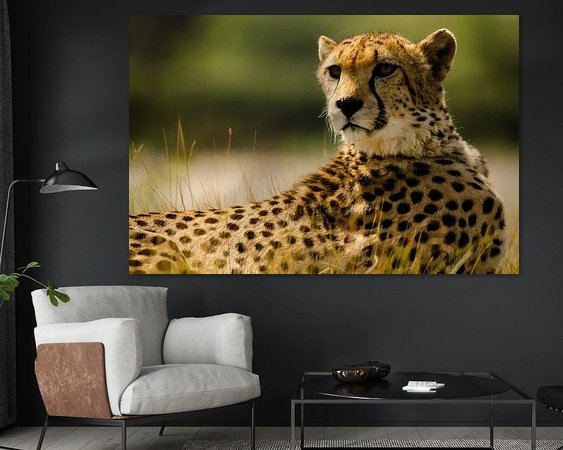 Aperçu de la chambre