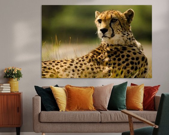 Aperçu de la chambre