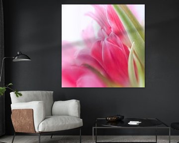 Bosje tulpen van Savo Fotografie