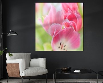 Bosje tulpen van Savo Fotografie