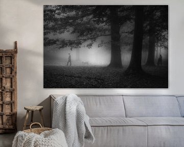 Dream forest by Saskia Dingemans Awarded Photographer