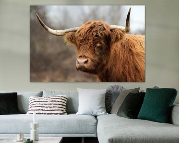 Scottish Highlander by Sabine Bouwmeester