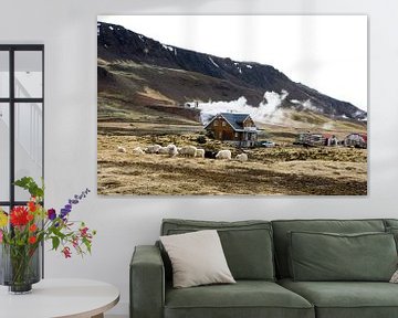 Living on hot boiling water, IJsland van Karin Hendriks Fotografie