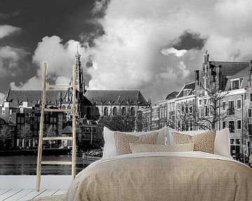 Panorama, Spaarne and Great or Saint Bavo Church 01 by Arjen Schippers