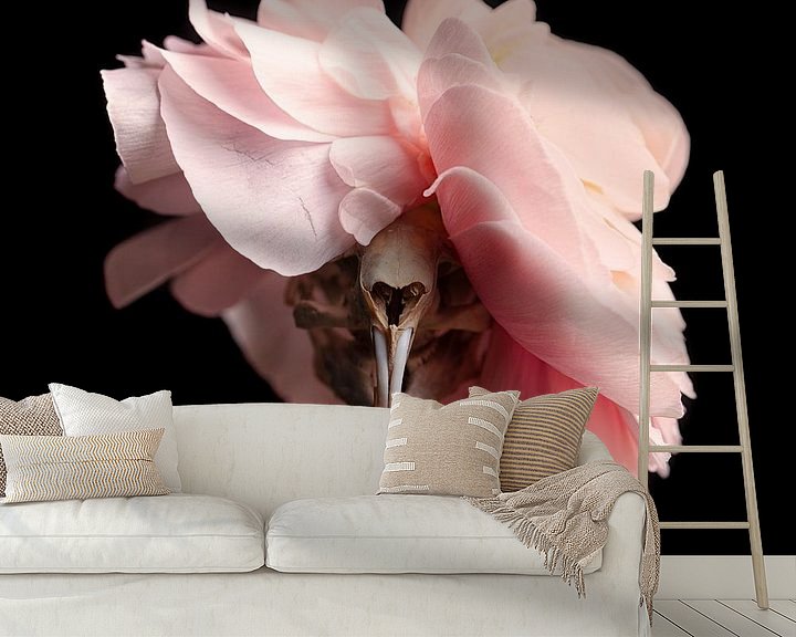 Sfeerimpressie behang: Muskus rat schedel met roze bloem van Marian Korte