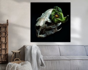 Muskus rat schedel met groene bloem als oog