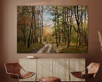 Veluwezoom Gelderland Stolz von Sara in t Veld Fotografie