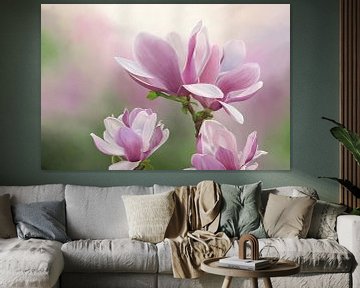 Schilderij van Magnolia bloemen van Tanja Udelhofen