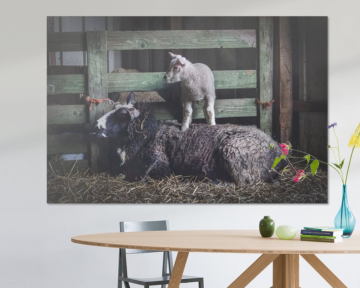 Voorbeeld van het werk in een kamer