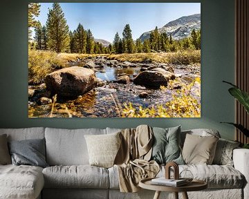 Zonnige Yosemite National park