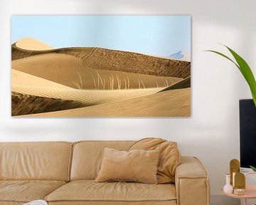 Badain Jaran woestijn (China) van Paul Roholl