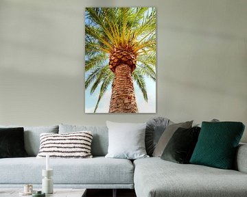 palmboom van Eveline De keukelaere