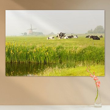 Hollands polderlandschap