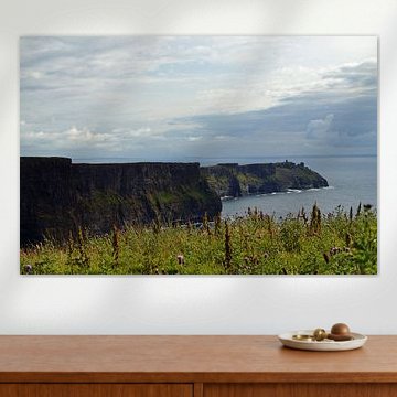 Cliff's of Moher - Irland