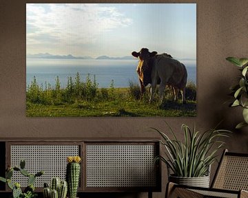 Koeien in het Skye Museum of Iceland Life van Babetts Bildergalerie