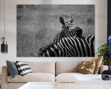 Zebra zwart wit  strepen in Kenia van Sylvana Boon