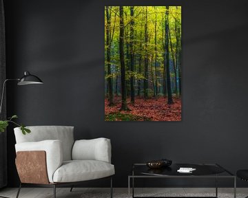 Forest landscape "Beech forest in autumn" by Coen Weesjes