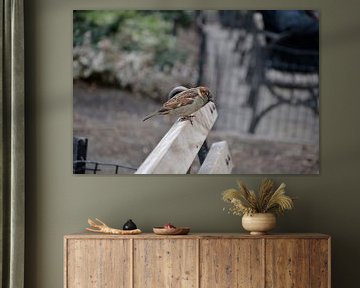 Must Have by Wessel Smit